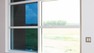 window film combats UV radiation
